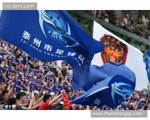 聚焦绿茵荣耀共赏激情瞬间足球星视界带你畅游赛场风云