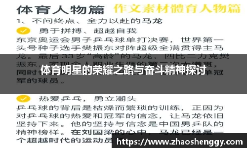 体育明星的荣耀之路与奋斗精神探讨